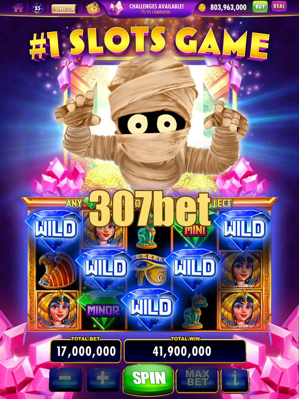 307bet APK